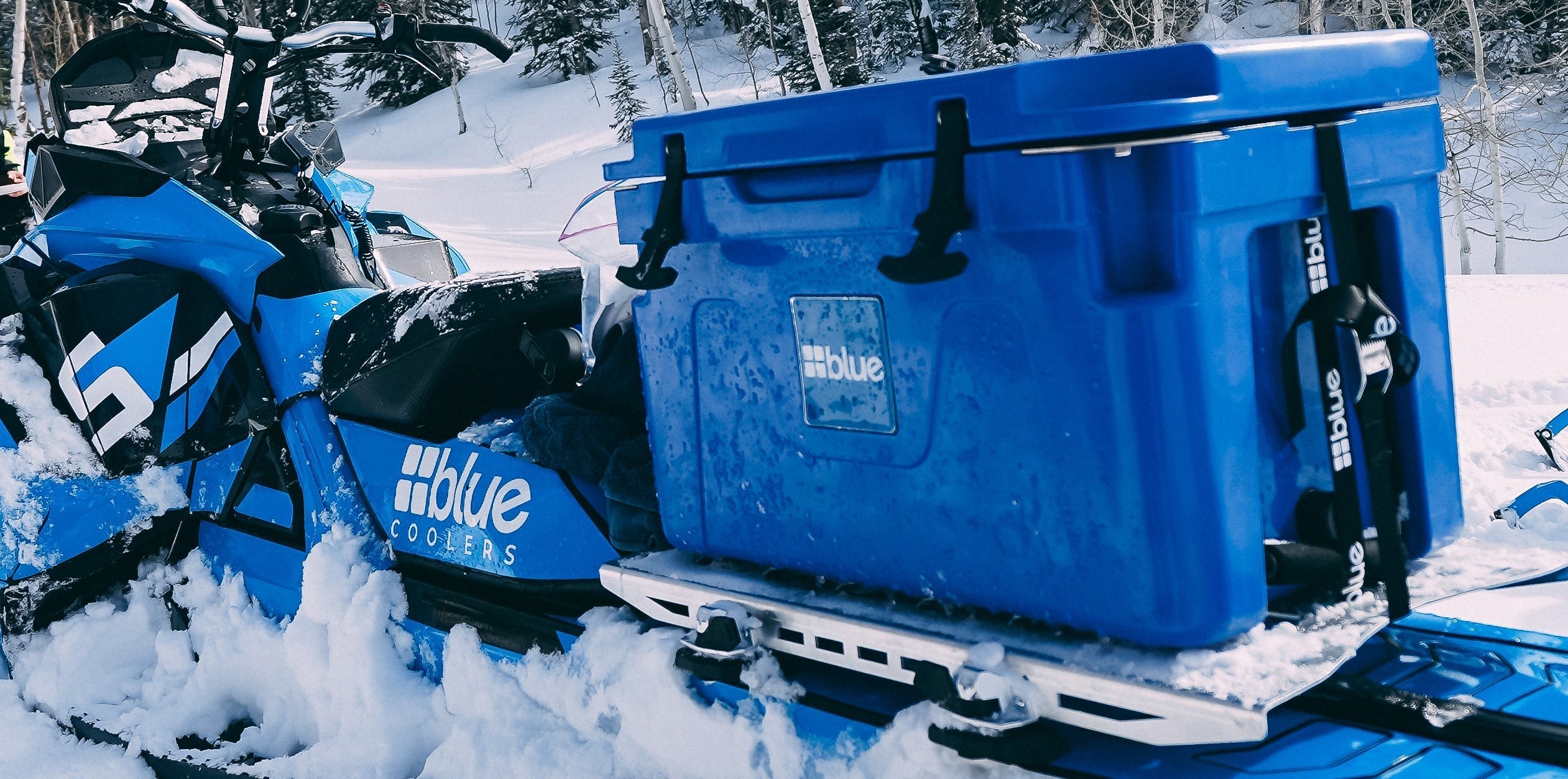 Blue Coolers